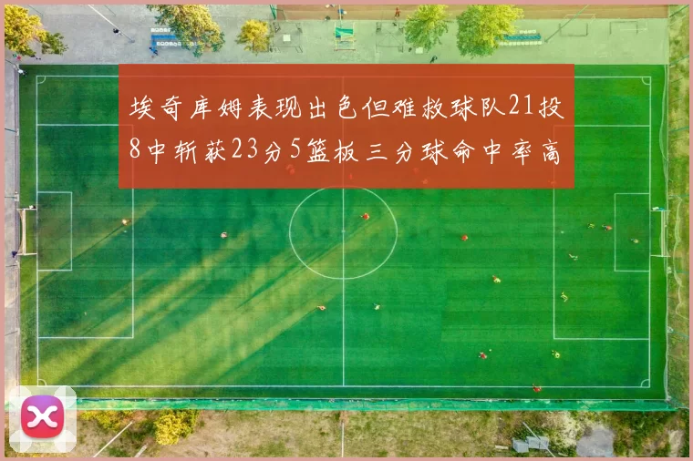 埃奇库姆表现出色但难救球队21投8中斩获23分5篮板三分球命中率高达45