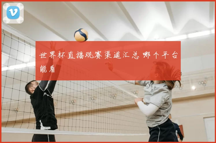 世界杯直播观赛渠道汇总 哪个平台能看