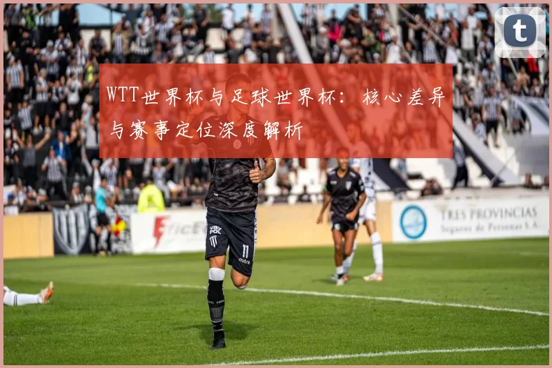 WTT世界杯与足球世界杯:核心差异与赛事定位深度解析