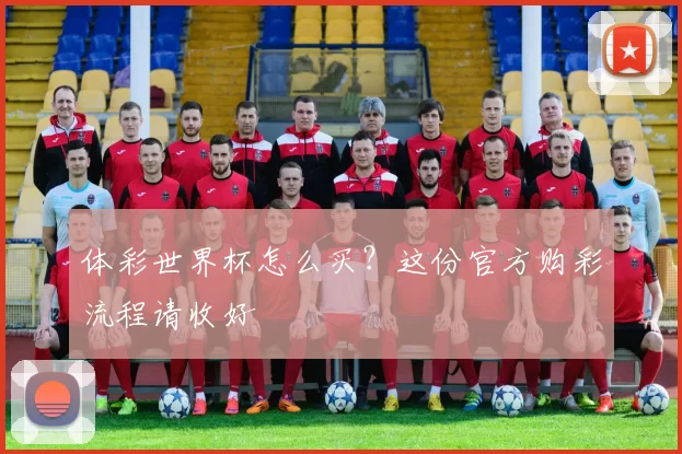体彩世界杯怎么买?这份官方购彩流程请收好