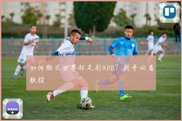如何购买世界杯足彩app？新手必看教程