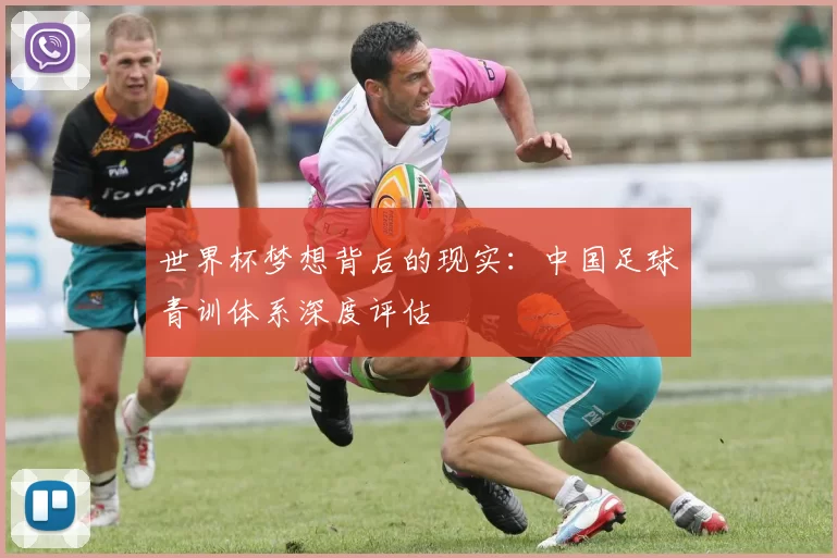 世界杯梦想背后的现实：中国足球青训体系深度评估