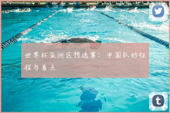 世界杯亚洲区预选赛:中国队的征程与看点