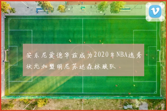 安东尼爱德华兹成为2020年NBA选秀状元加盟明尼苏达森林狼队