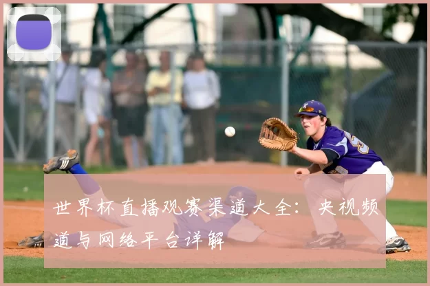 世界杯直播观赛渠道大全：央视频道与网络平台详解