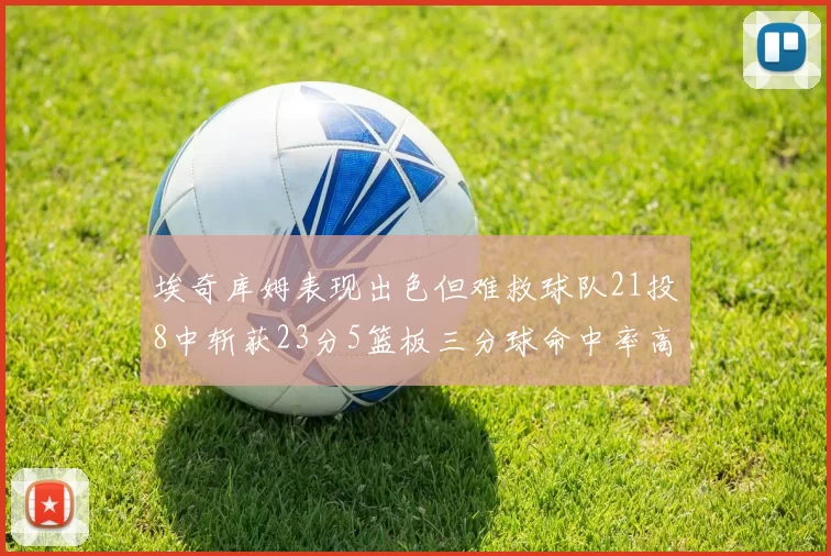 埃奇库姆表现出色但难救球队21投8中斩获23分5篮板三分球命中率高达45