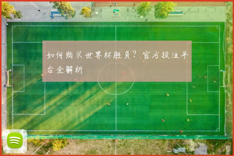 如何购买世界杯胜负？官方投注平台全解析