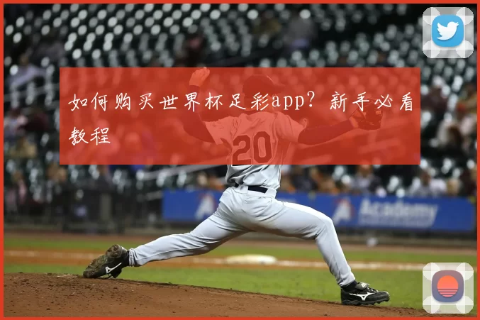如何购买世界杯足彩app？新手必看教程