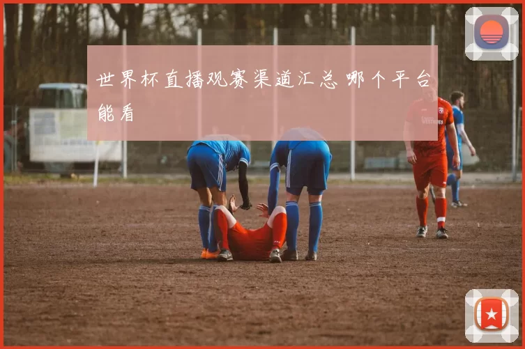 世界杯直播观赛渠道汇总 哪个平台能看
