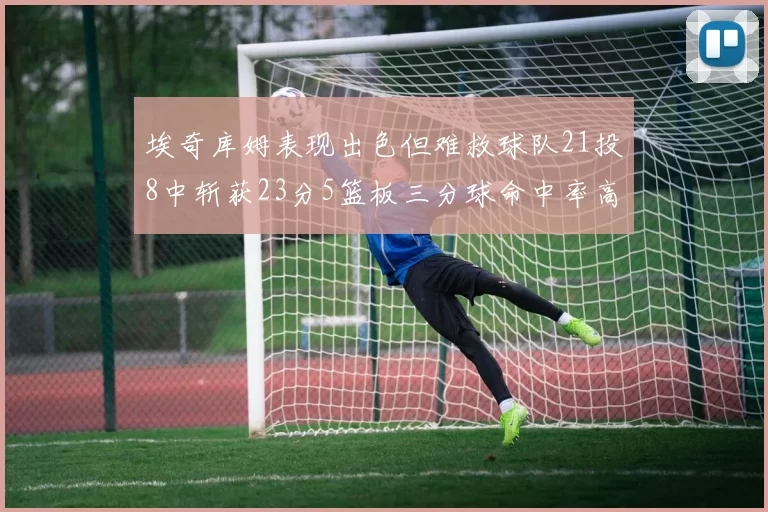 埃奇库姆表现出色但难救球队21投8中斩获23分5篮板三分球命中率高达45